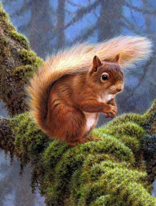 Eichhörnchen im Wald - Diamond Painting