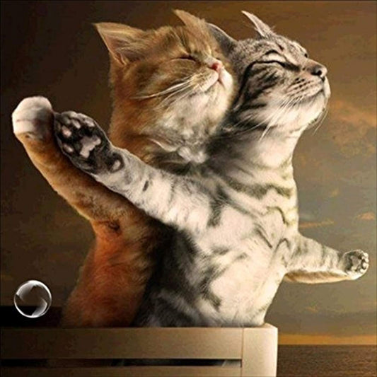 Titanic Katzen Diamond Painting Kit - Diamond Painting