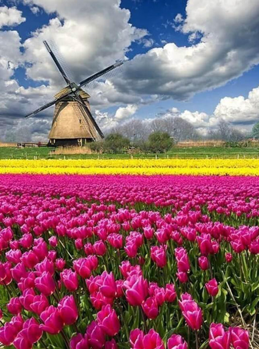 Tulpengarten & Windmühle Diamond Painting - Diamond Painting