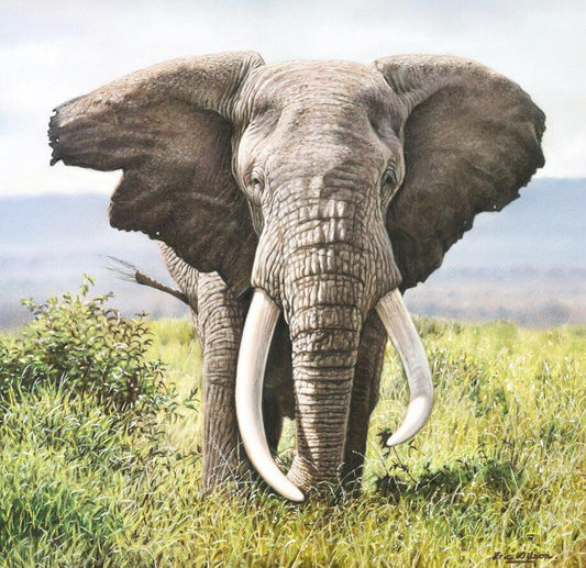Tusker - Kunst des Eric Wilson - Diamond Painting