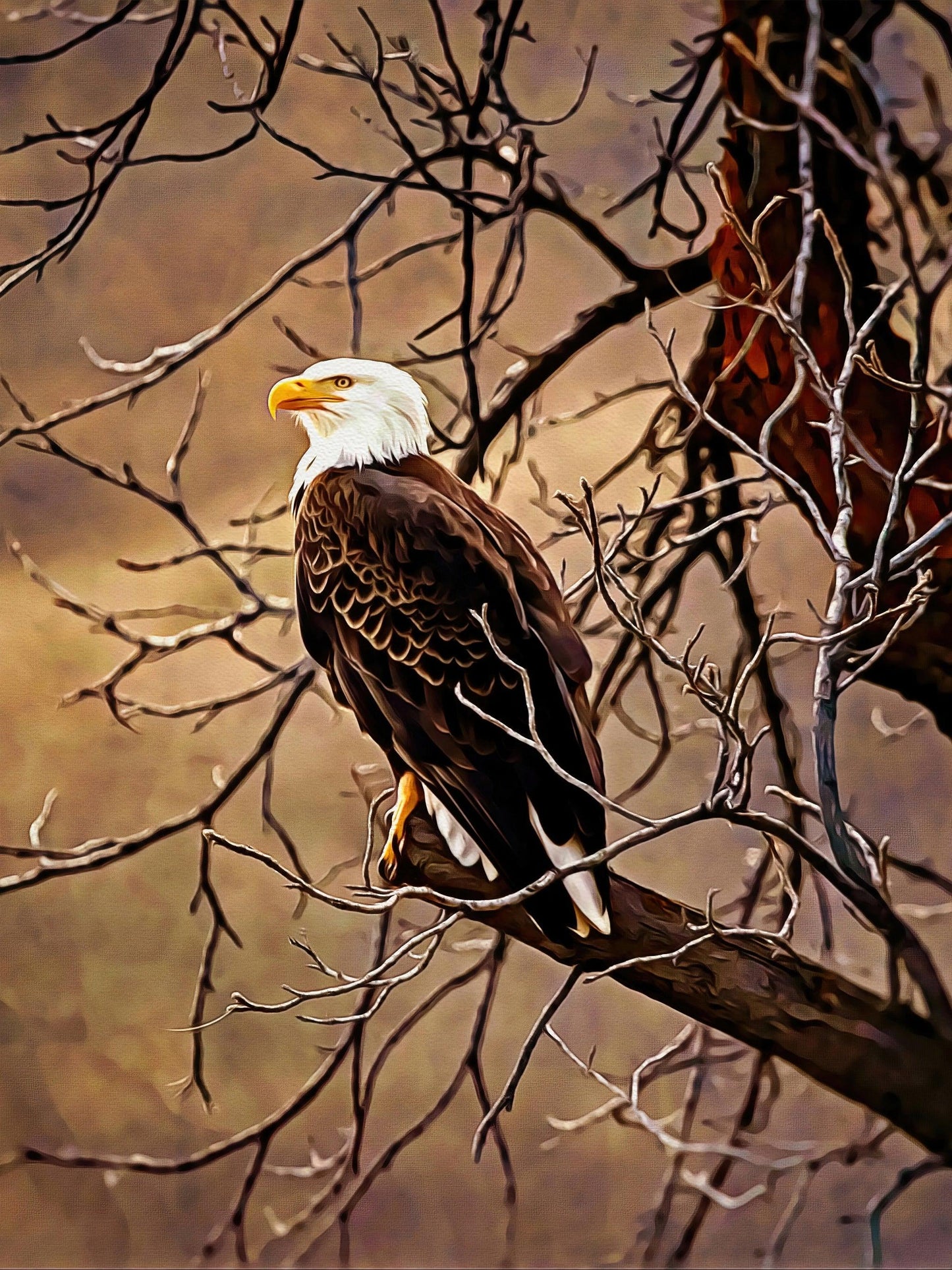 Weißkopfseeadler - Kunst des Denise Dundon - Diamond Painting