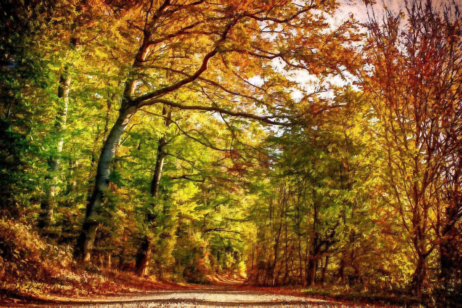 Pfad durch Herbstlaub - Kunst des Denise Dundon - Diamond Painting
