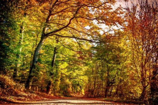 Pfad durch Herbstlaub - Kunst des Denise Dundon - Diamond Painting