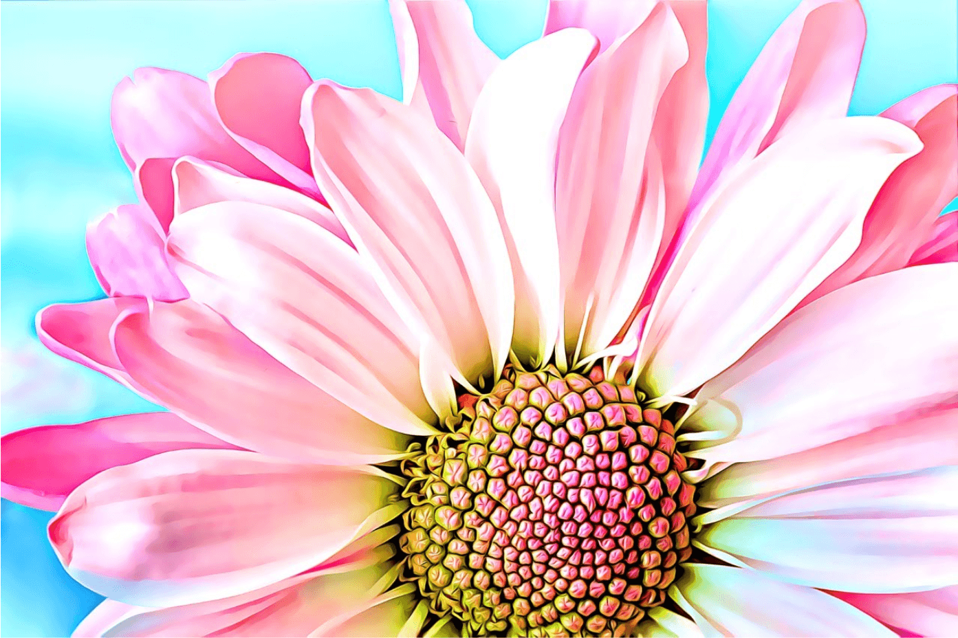 Rosa Dahlie - Kunst des Denise Dundon - Diamond Painting