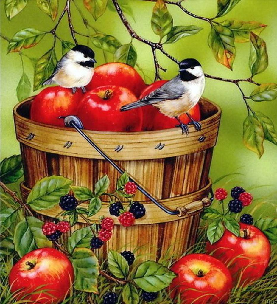 Äpfel in einem Eimer & Spatzen Diamond Painting - Diamond Painting
