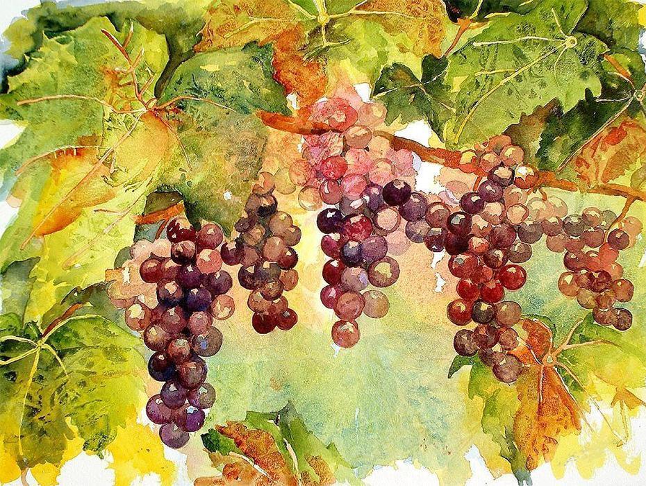 Hängende Trauben DIY Malerei - Diamond Painting