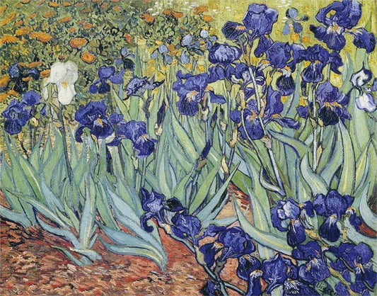 Irises DIY Diamond Painting - Vincent Van Gogh - Diamond Painting