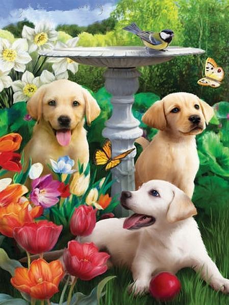 Hundesammlung DIY Diamond Paintings - Diamond Painting