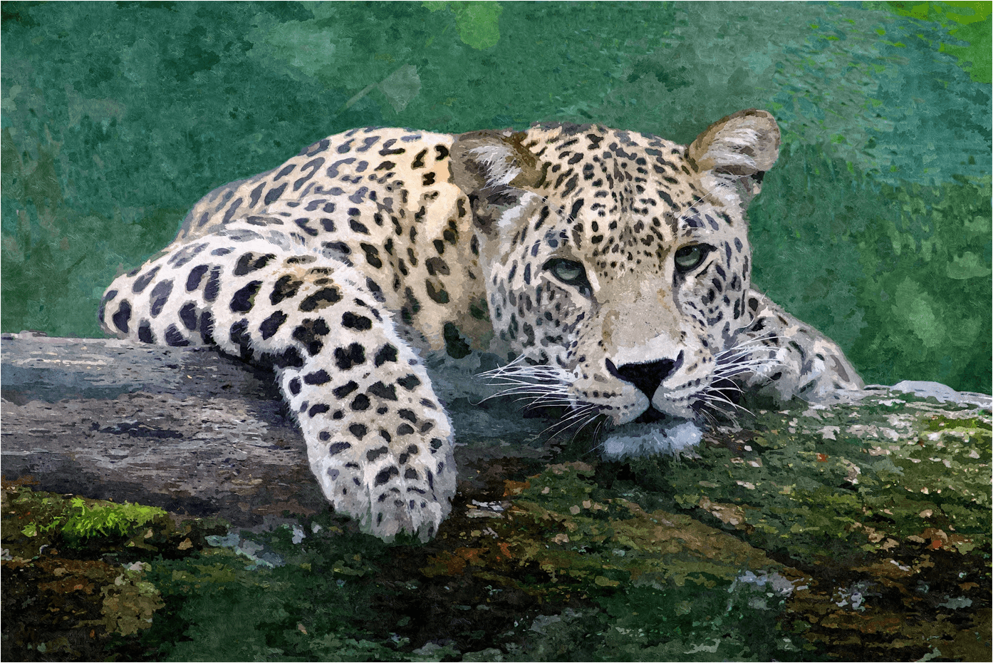 Schneeleopard - Kunst des Denise Dundon - Diamond Painting