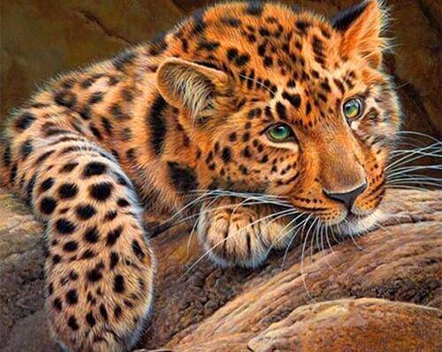 Jaguar Diamant Malerei - Diamond Painting